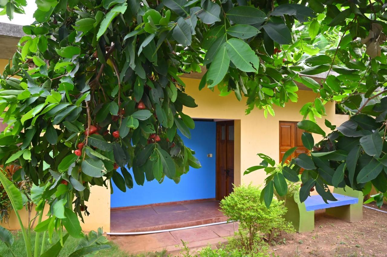 Les Boganveillea Heritage Guest House Auroville Exterior photo